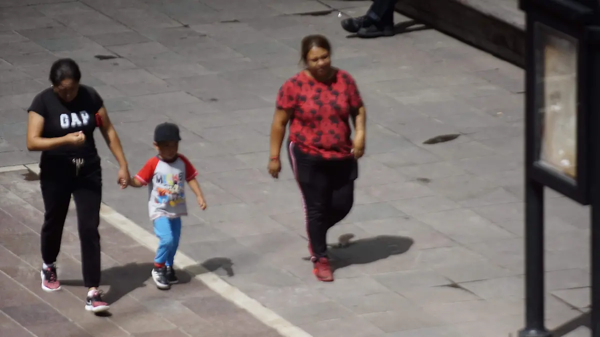 PROGRAMA-MUJERES-AGS