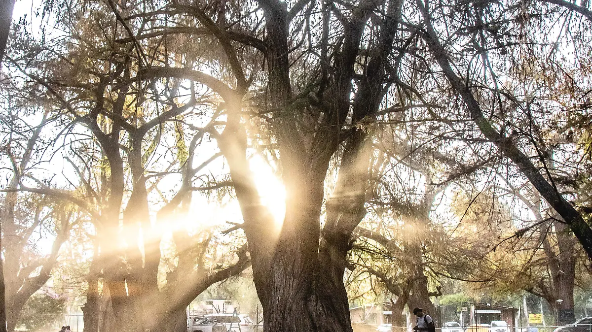 DÍA-NATURALEZA-MARZO