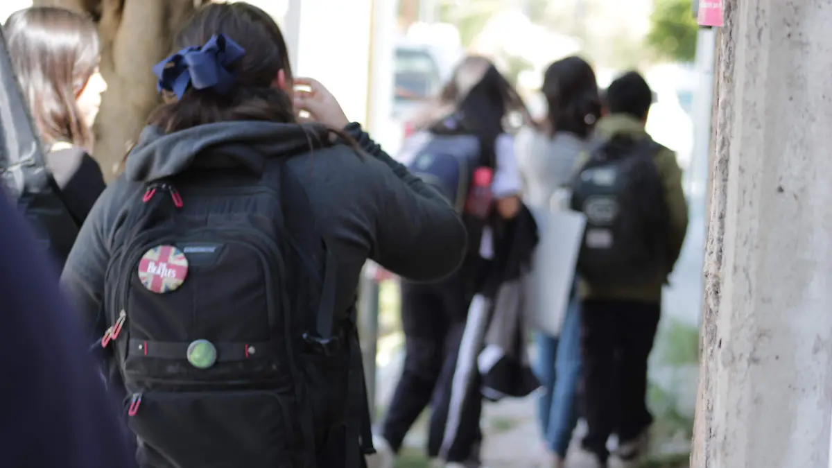 PLANES DE ESTUDIO (1)