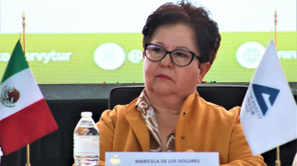 MARICELA-PROTESTAS-8M