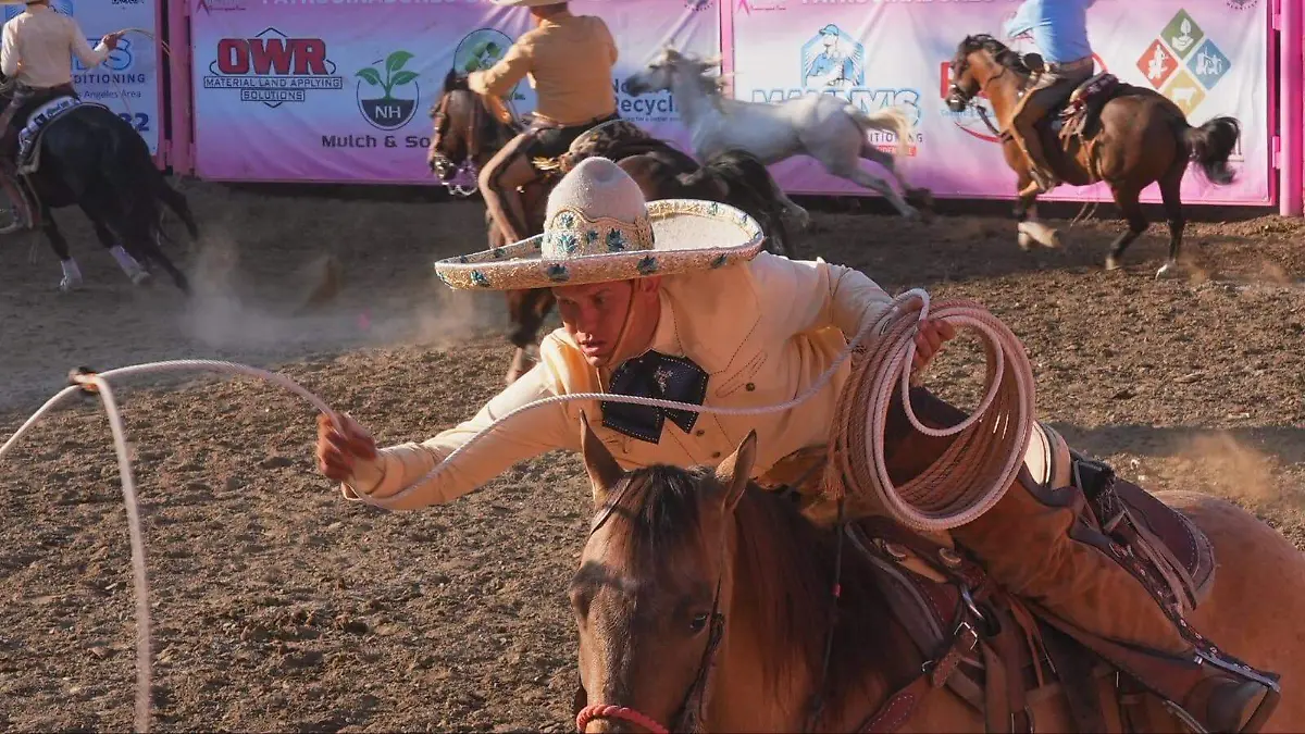 WhatsApp Image 2026-03-04 at 12.42.09 PM (1)