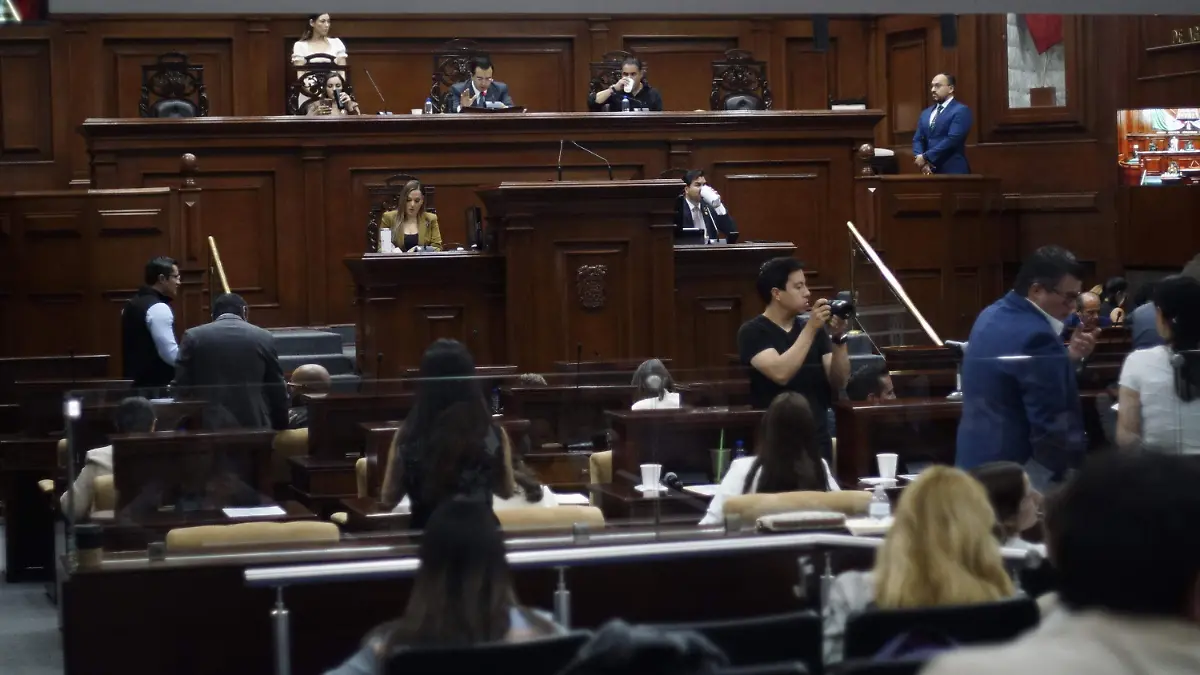 PERFILES FISCALIZACIÓN CONGRESO (1)