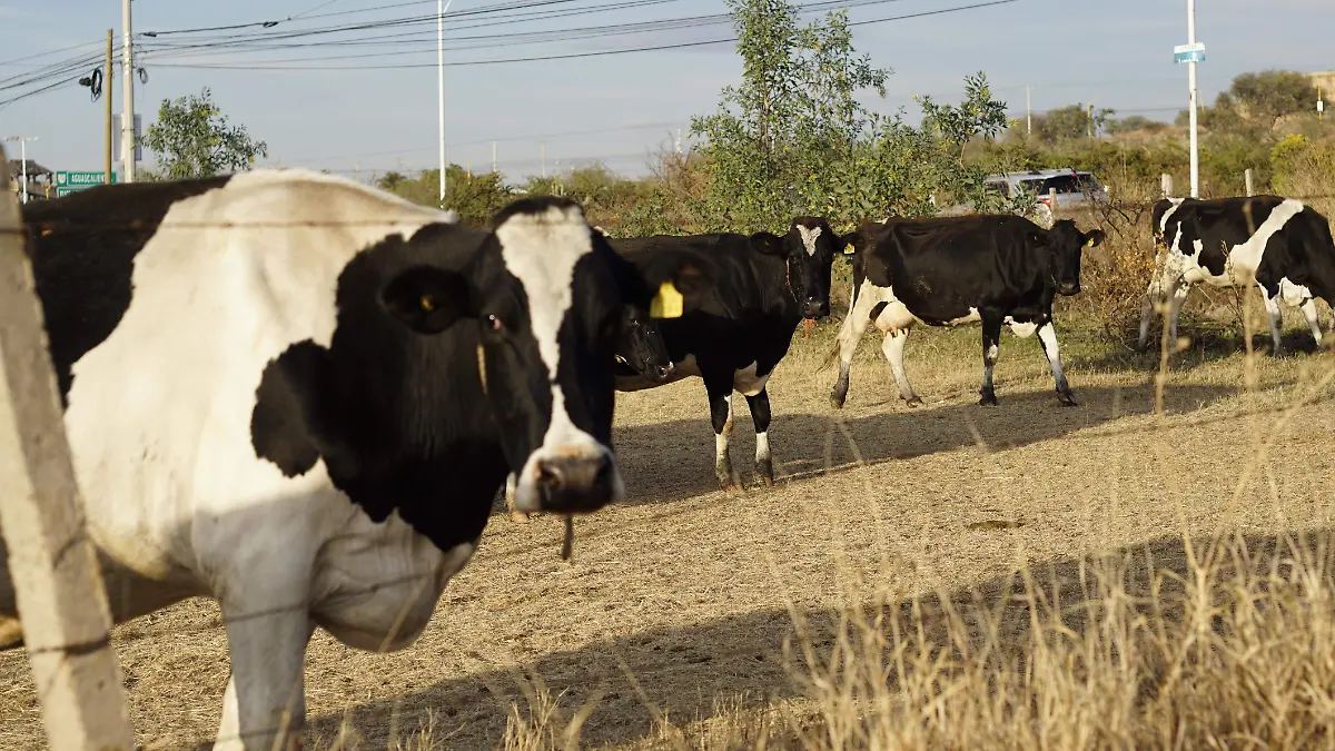 PROPIEDAD PRIVADA ALLANAMIENTO RANCHOS (1)