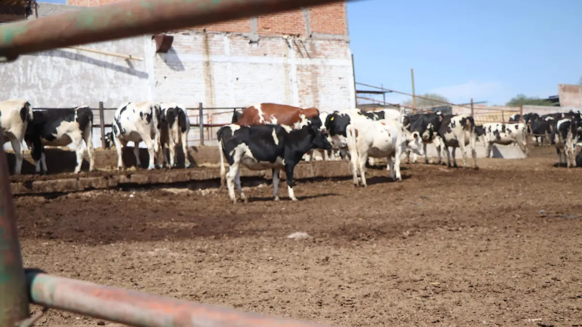 AMPLIAR-ALLANAMIENTO-PROPIEDAD