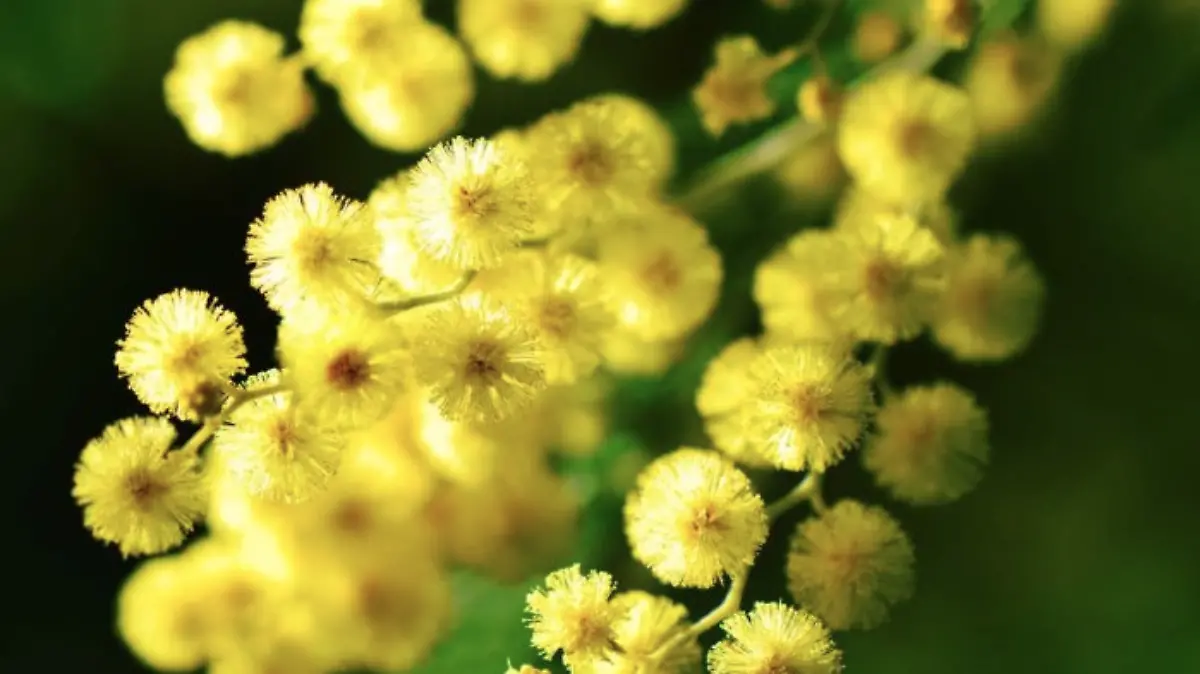 Captura de pantalla 2026-03-06 a la(s) 12.53.41