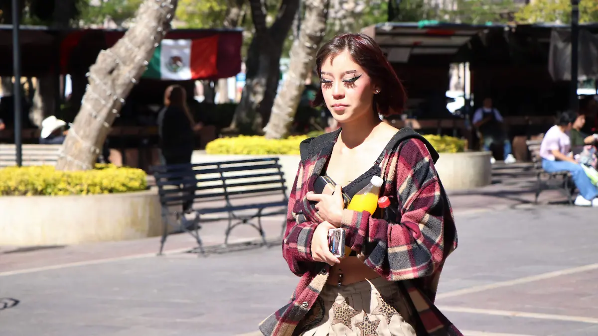 SEGURIDAD-MUJERES-PROTECCION