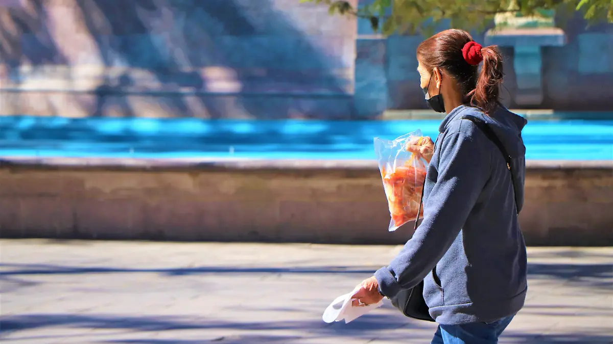 SEGURIDAD-MUJERES-PROTECCION