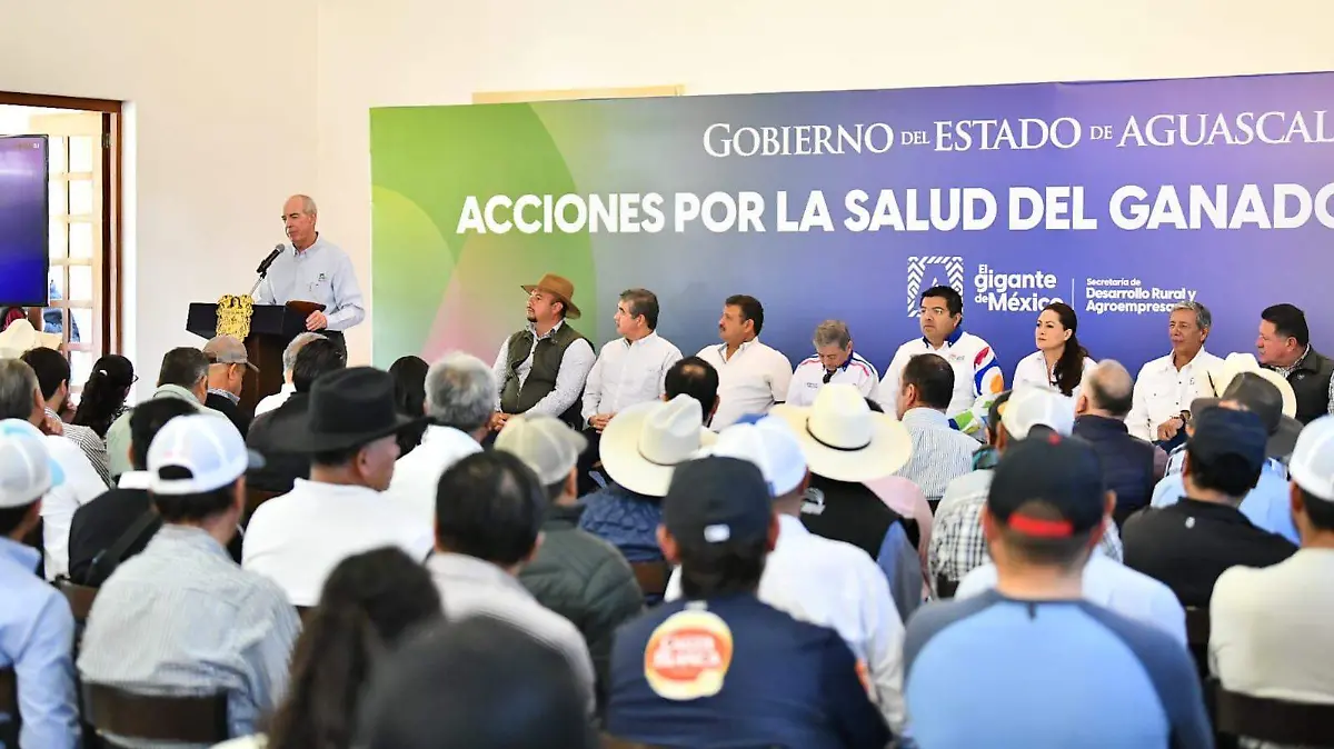 WhatsApp Image 2026-03-07 at 12.12.07 (2)