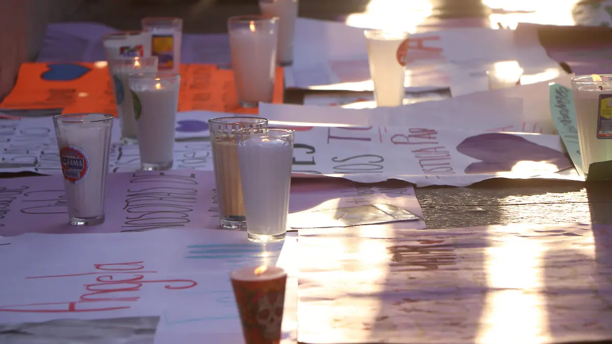 MUJERES SEGURIDAD VIOLENCIA FEMINICIDIOS (4)