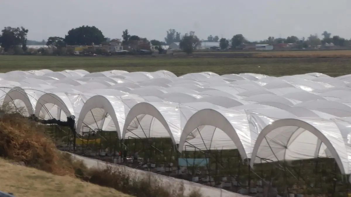 TIERRAS PRODUCCION HORTALIZAS PRODUCCION (2)