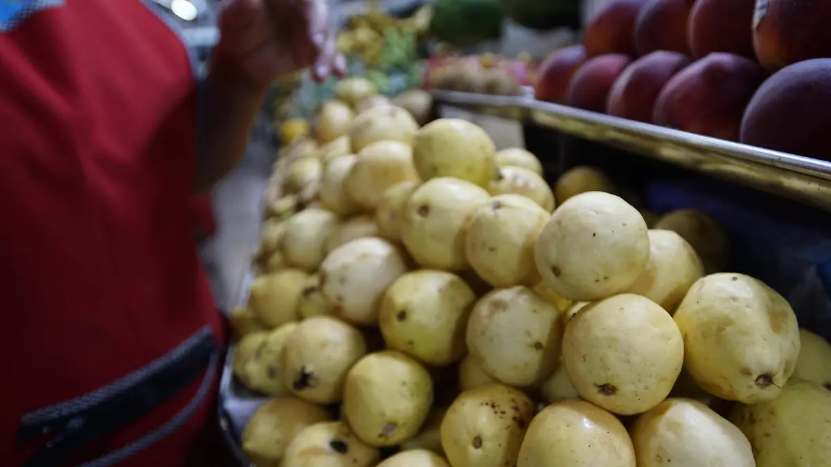 GUAYABA HUERTAS CALVILLO (1)