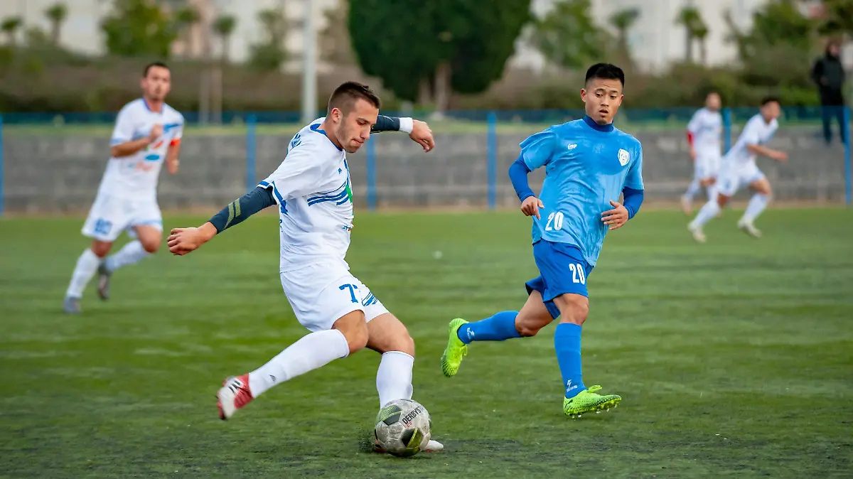 pexels-aleksandar069-3684122