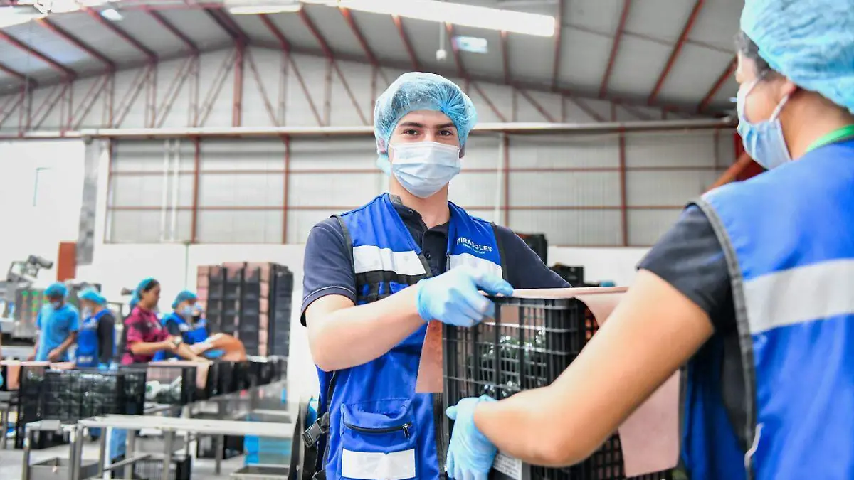 INDUSTRIA-ACTIVIDAD-CRECIMIENTO