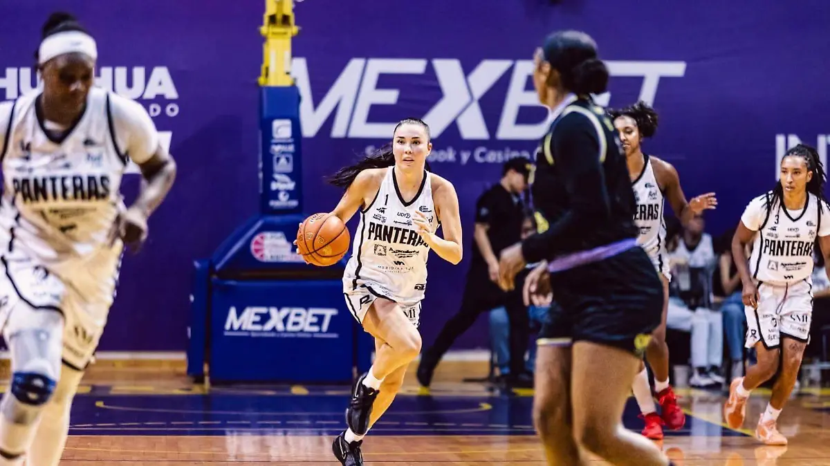 WhatsApp Image 2026-03-12 at 9.55.21 AM