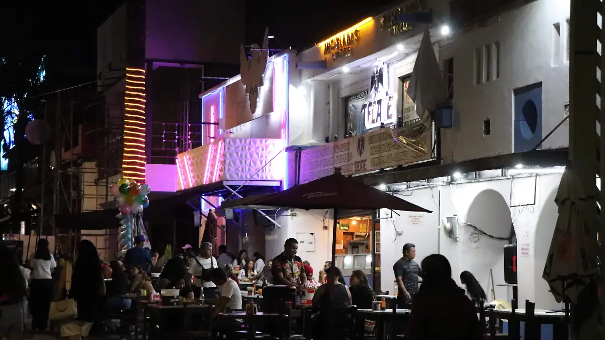 BARES ANTROS SEGURIDAD MUJERES (2)