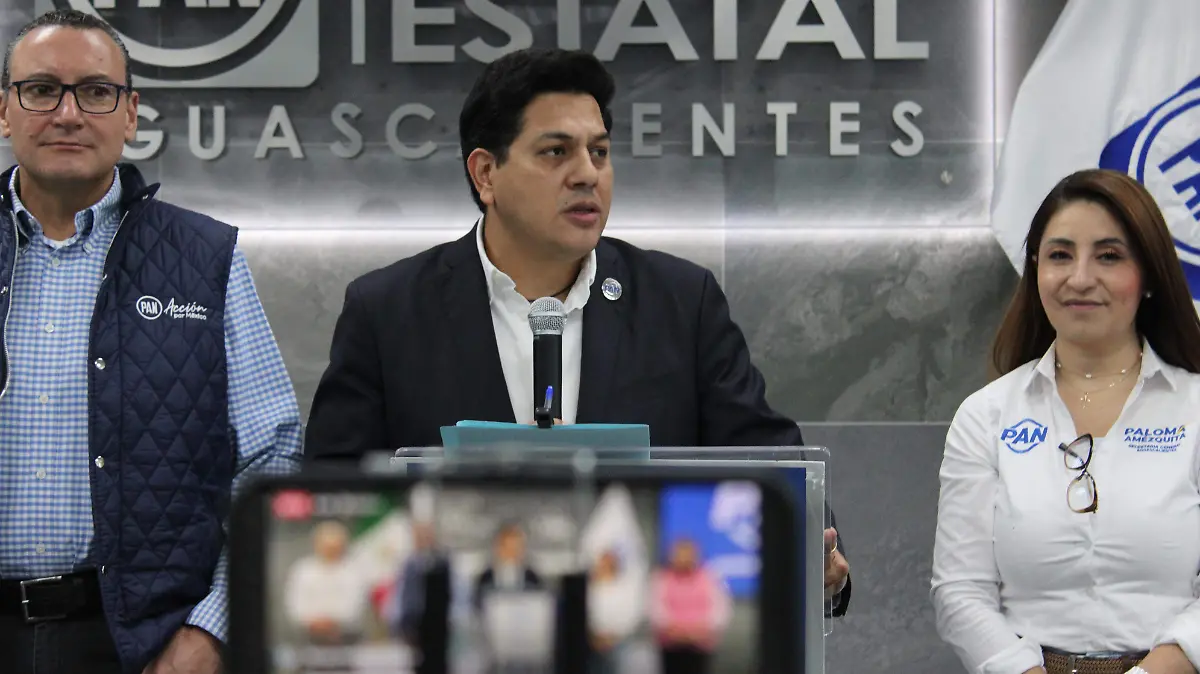 PAN-REFORMA ELECTORAL-POSTURA