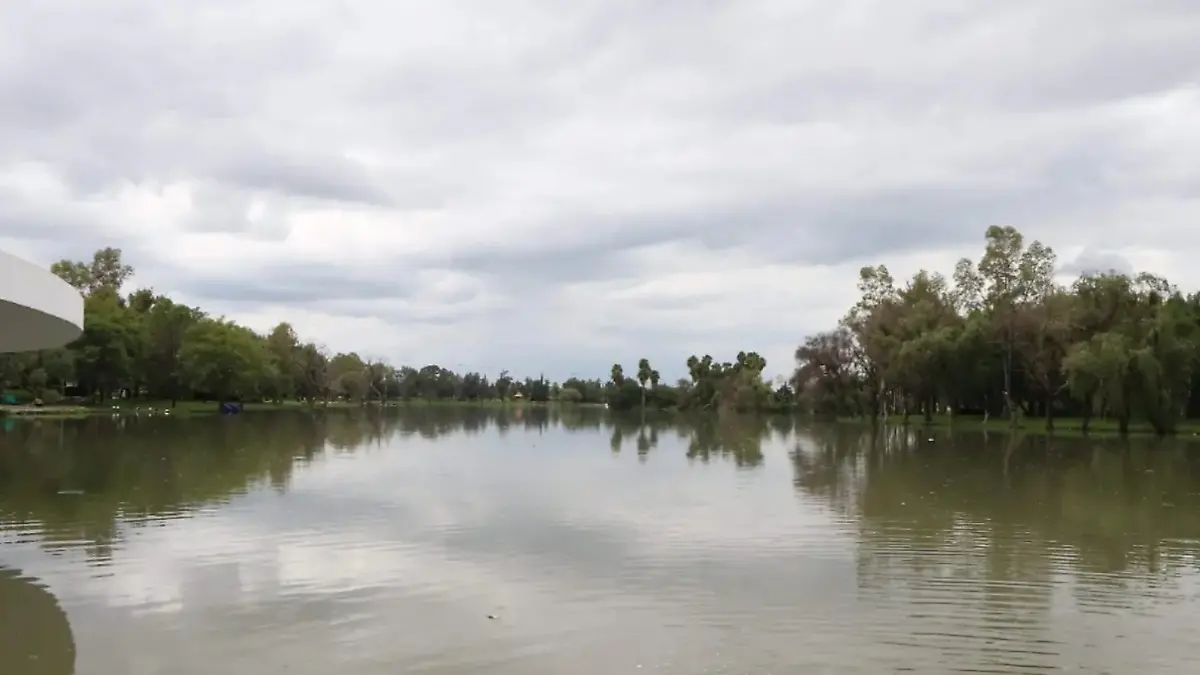 CEDAZO-HISTORIA-PARQUE