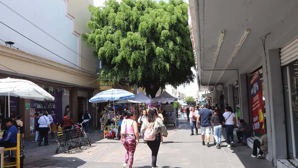 PUENTES-MÉXICO-2026