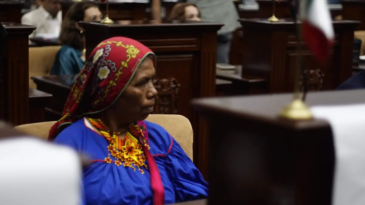 DIPUTADA IRMA REZA (2)