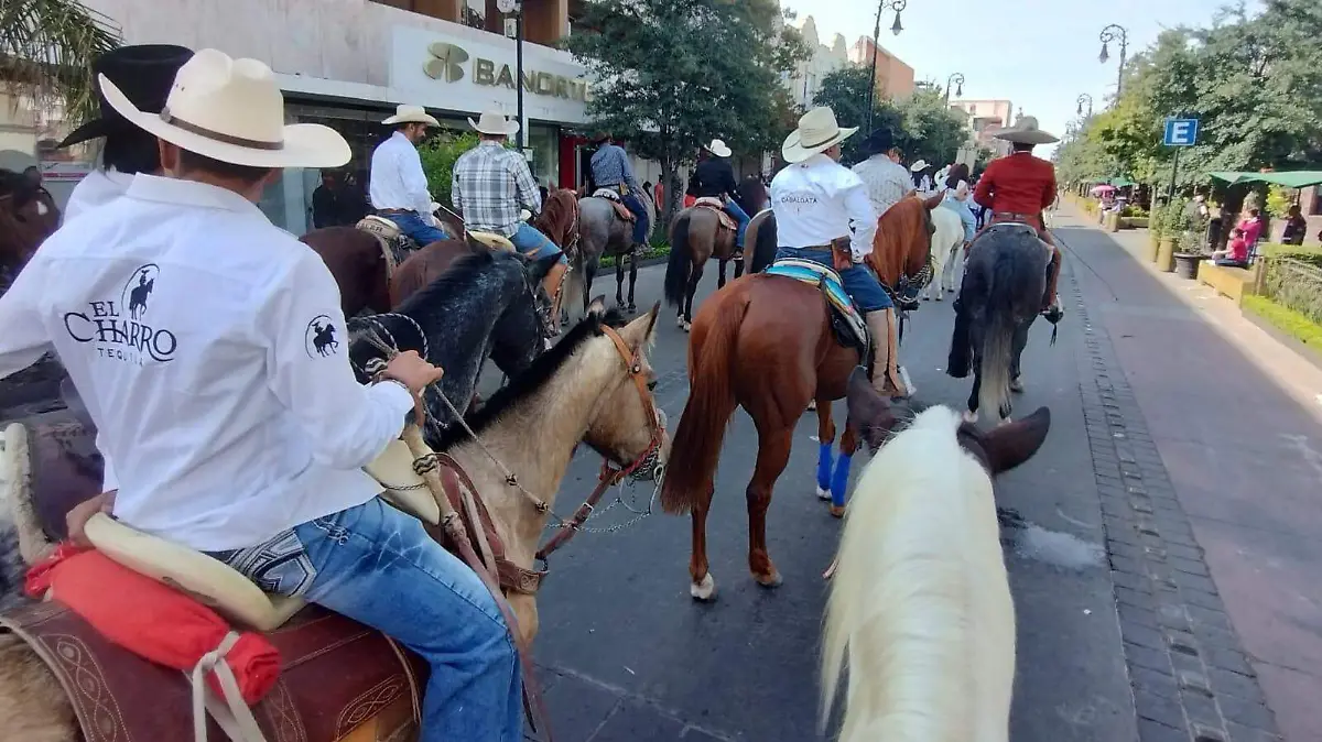 WhatsApp Image 2026-03-17 at 12.08.46 PM