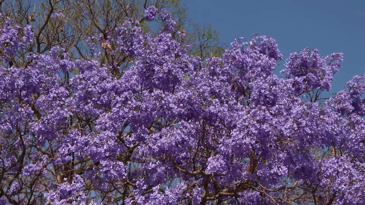 34626c8b-bb0d-4d6a-8a25-6eb3194277e1