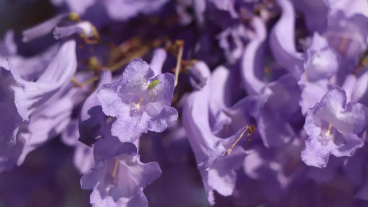 ffc552ba-ecd3-4598-abc8-499cb6617a17