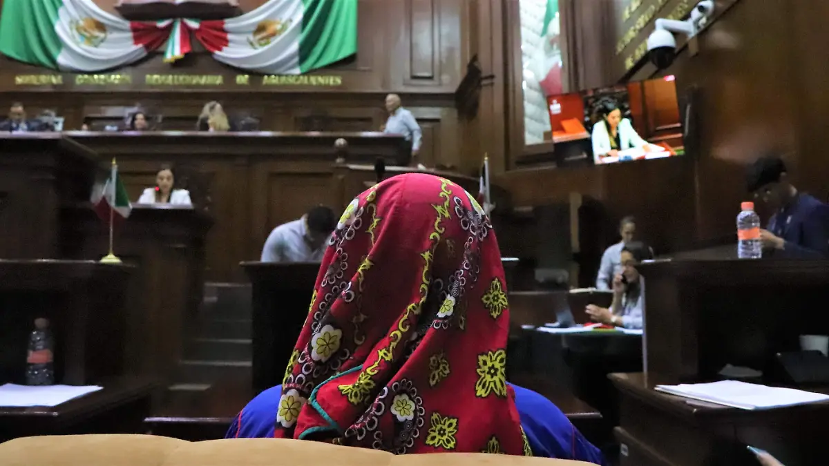 SEGUIMIENTO DIPUTADA (3)