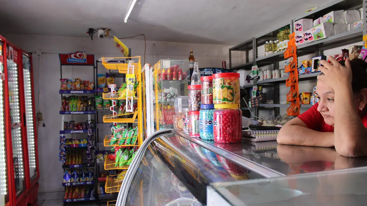 TIENDAS DE ABARROTE, BAJAN CORTINAS, TIENDAS SIN PRODUCTOS (3)