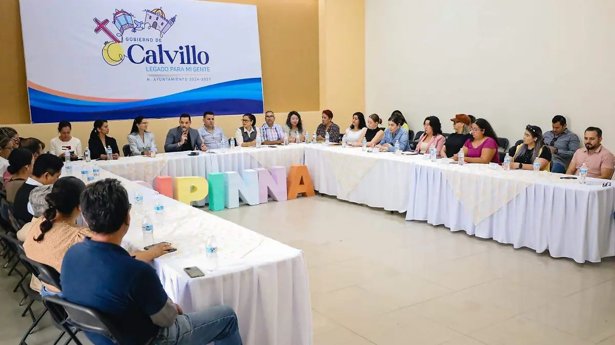 CALVILLO-SIPINNA-MENORES DE EDAD