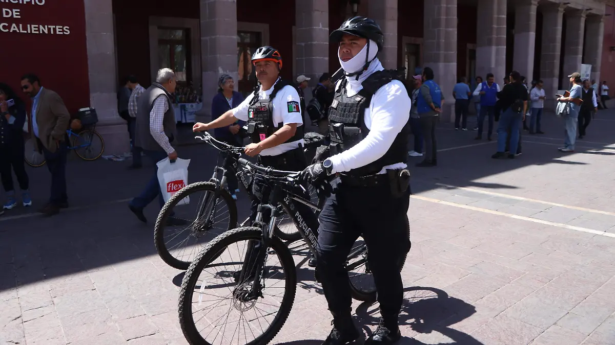 SEGURIDAD MUNICIPIO ROBOS (1)