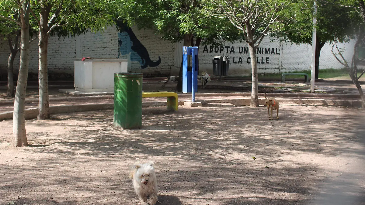 PARQUE CANINO, MASCOTAS PASEANDO (1)