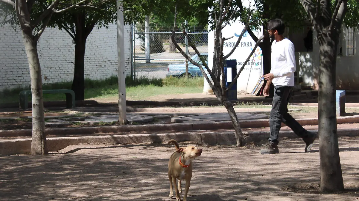 PARQUE_CANINO_MASCOTAS PASEANDO