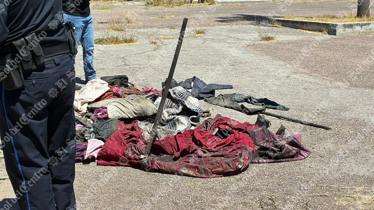 OSAMENTA_MADRES BUSCADORAS_AGS