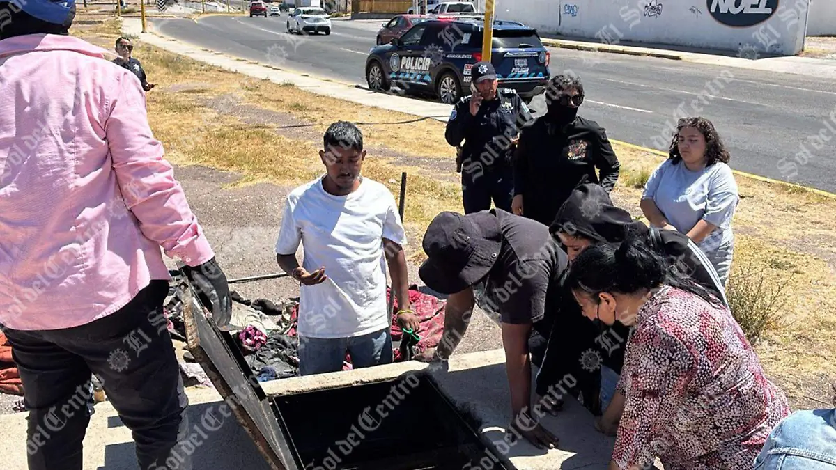 OSAMENTA_MADRES BUSCADORAS_AGS