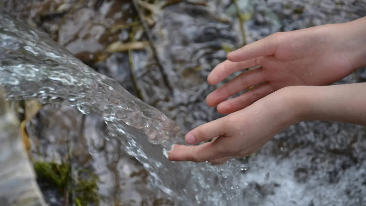 AGUA-AIRE-SUPERVIVENCIA