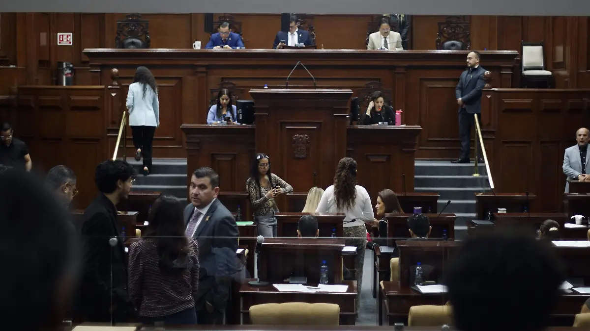 SENADORES DIPUTADOS TOÑO MARTIN DEL CAMPO (5)