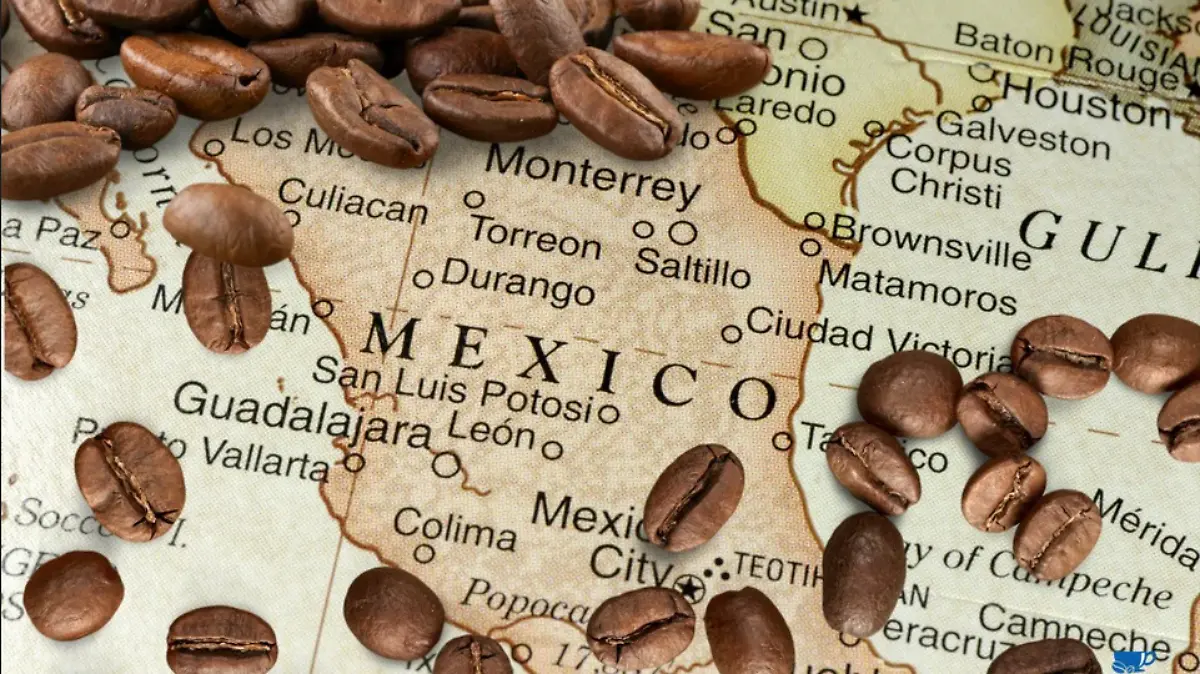 Captura de pantalla 2026-03-30 151646