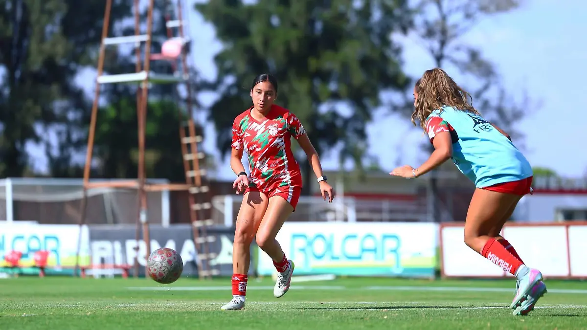 WhatsApp Image 2026-03-31 at 1.08.43 PM