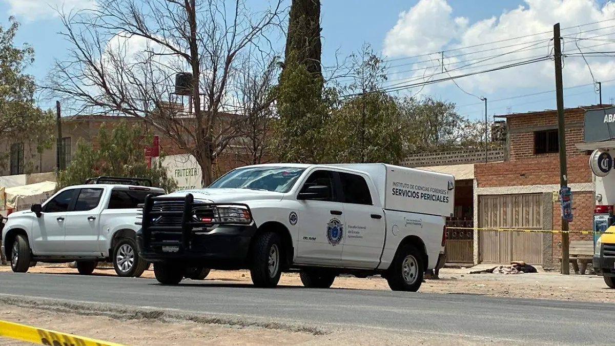 LEGÍTIMA DEFENSA (1)