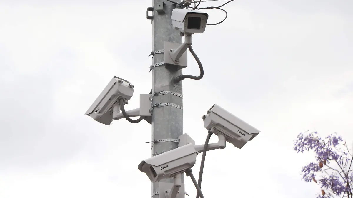 CAMARAS EN BARES (5)