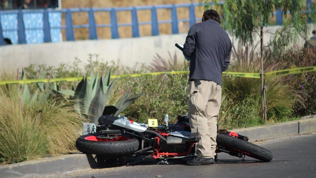 WhatsApp Image 2026-04-01 at 09.27.45 (1)