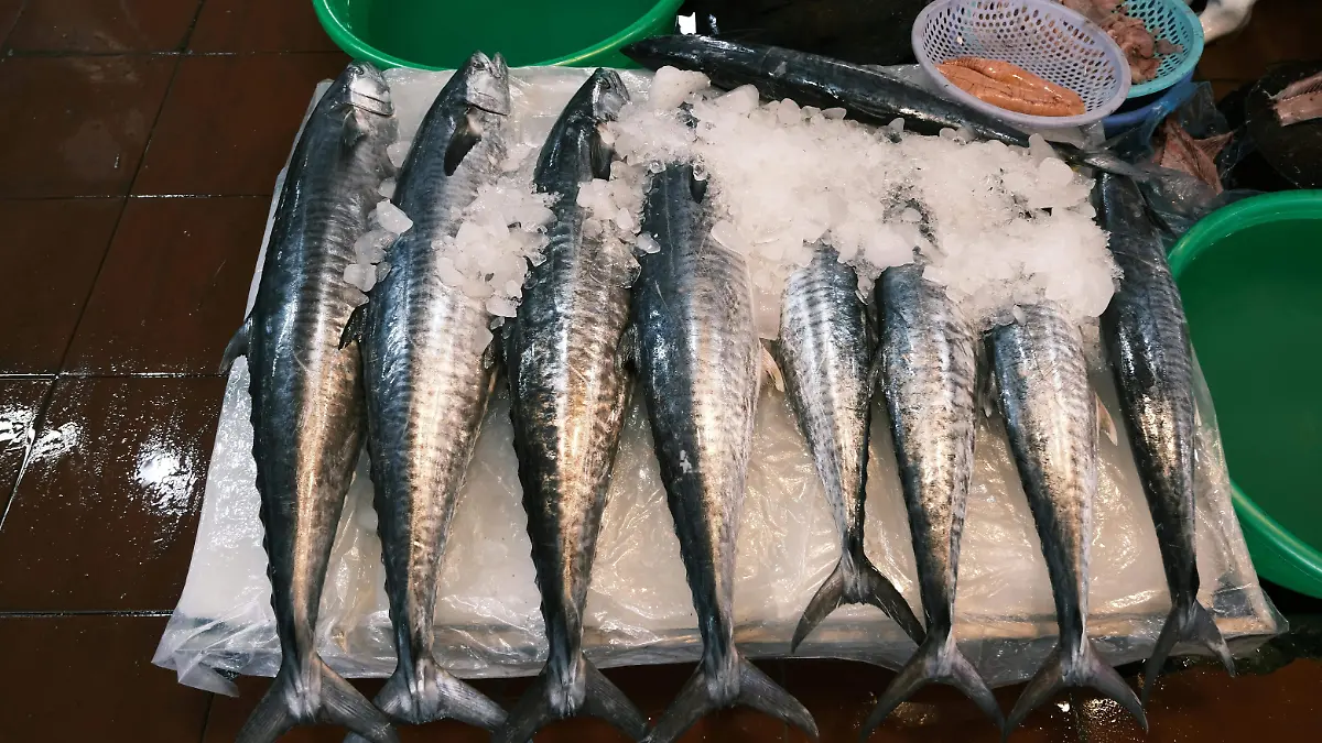 pexels-d-t-nguy-n-1072623800-36703535