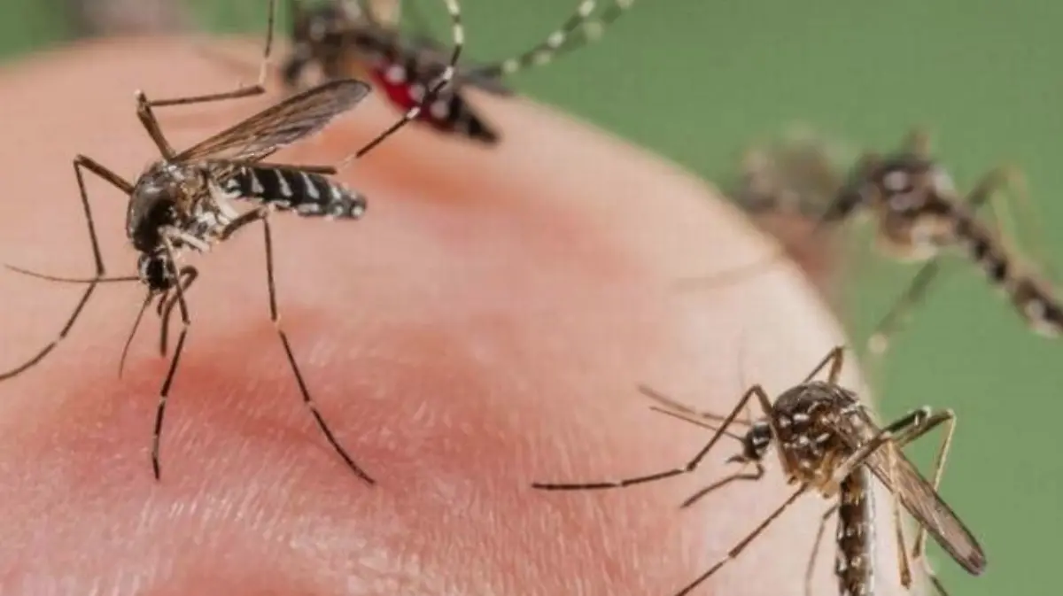 Captura de Pantalla 2026-04-02 a la(s) 12.18.36