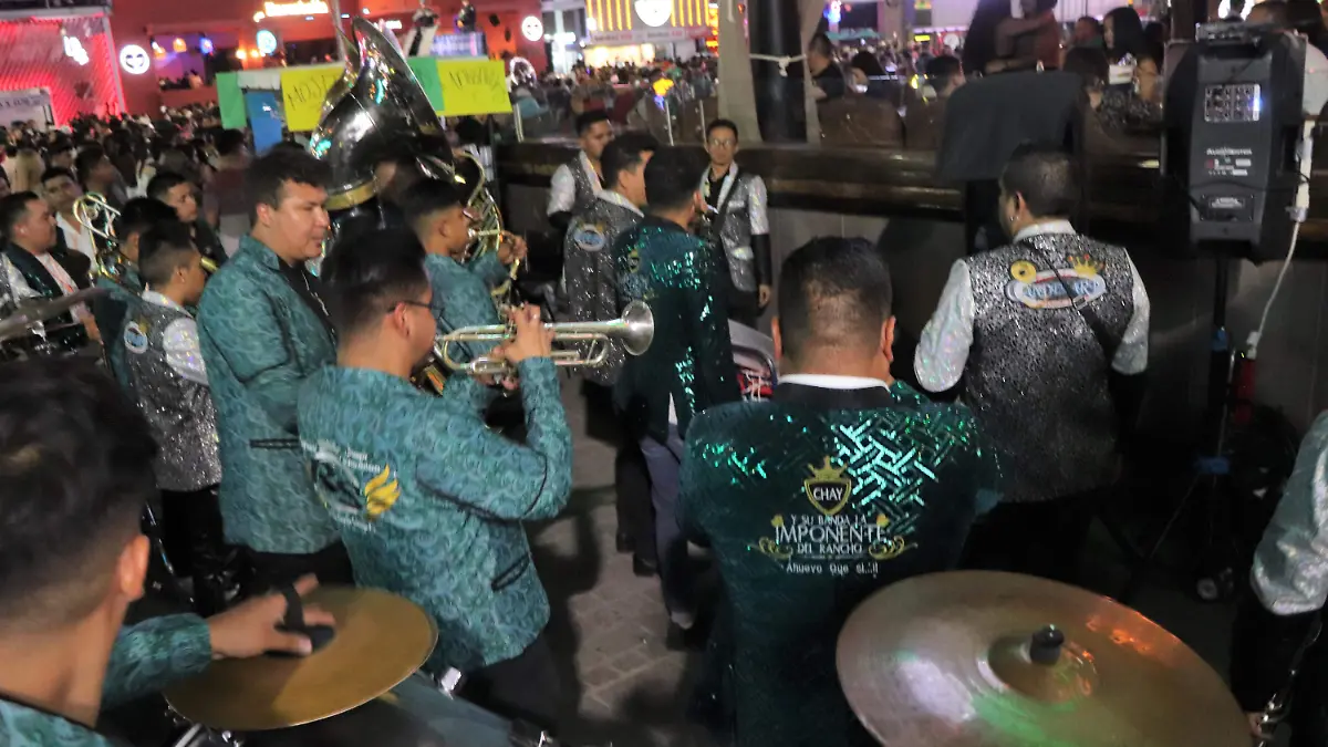 ZONA DE TAMBORAS (3)