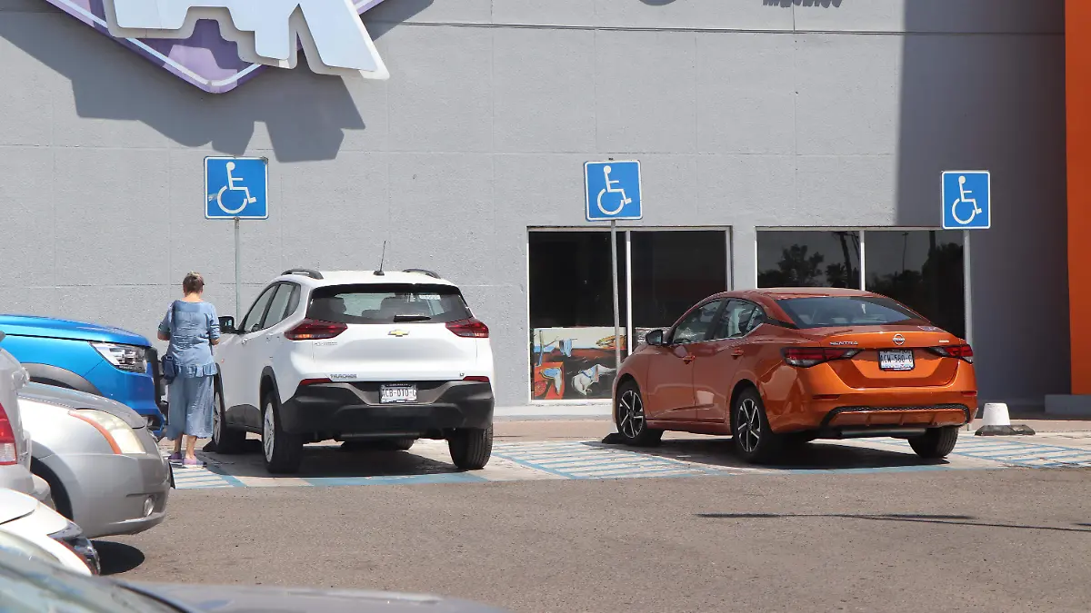 INCLUSIÓN DISCAPACIDAD (2)