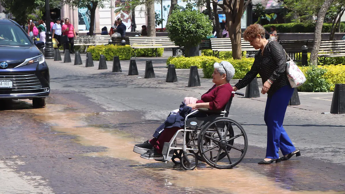 INCLUSIÓN DISCAPACIDAD (3)