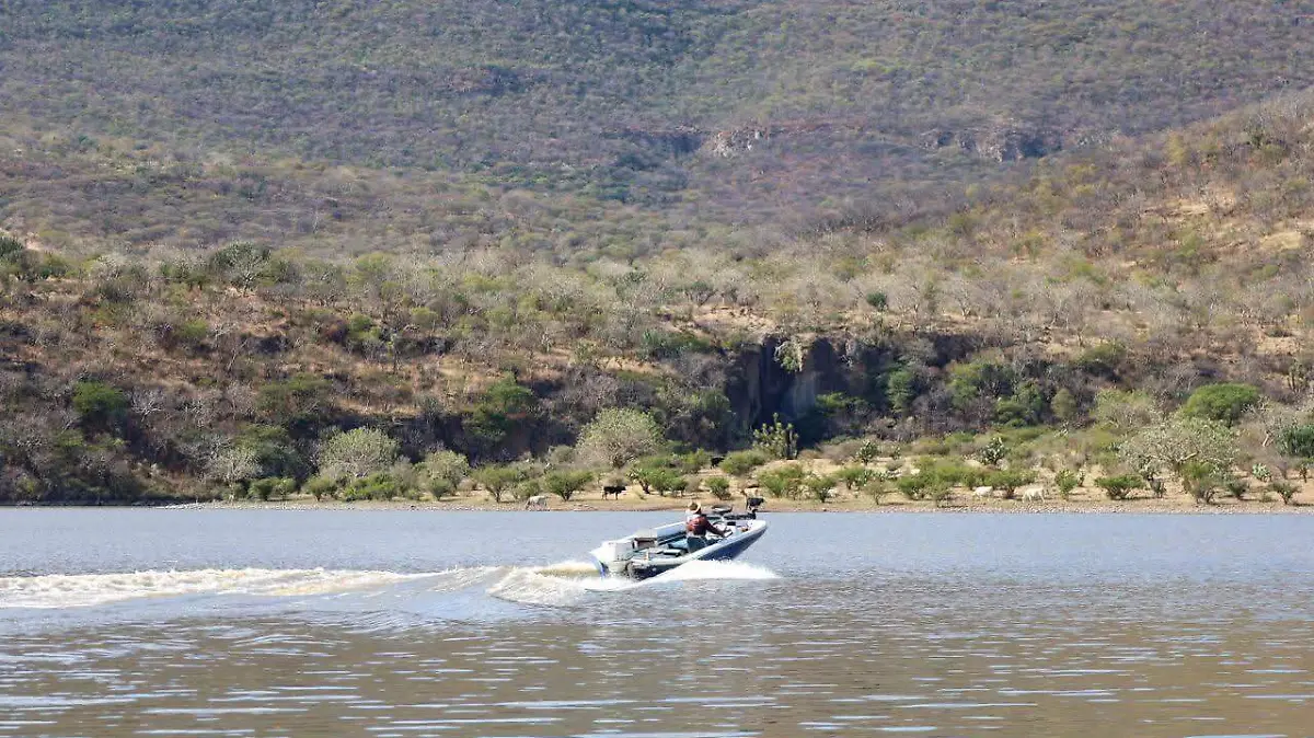 WhatsApp Image 2026-04-06 at 11.19.15 AM (1)