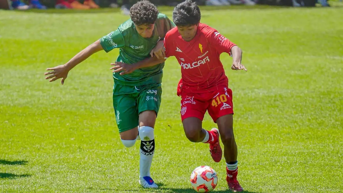 WhatsApp Image 2026-04-06 at 4.49.53 PM