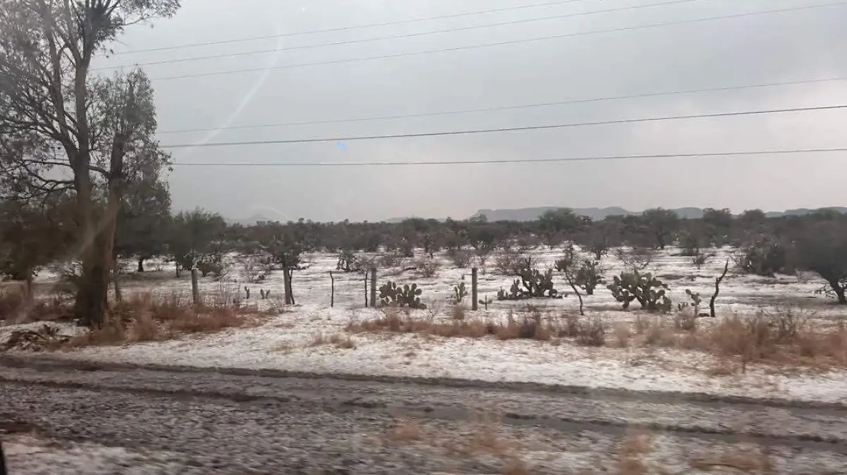 GRANIZO-AGS-DOMINGO