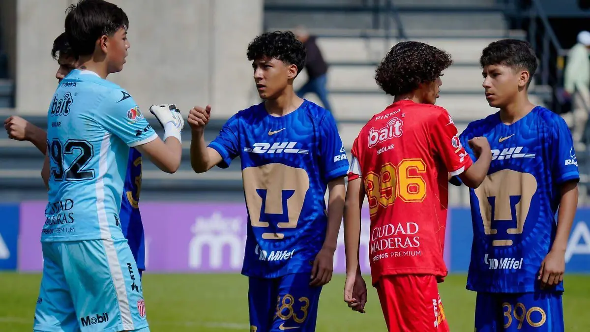 WhatsApp Image 2026-04-07 at 11.49.47 AM